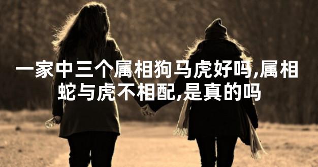 一家中三个属相狗马虎好吗,属相 蛇与虎不相配,是真的吗